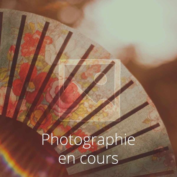 En attente de l’image du produit